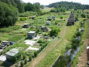 Hjulsta koloniträdgård.