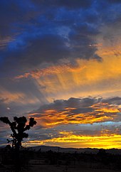 Evening twilight in Joshua Tree, California, displaying the separation of yellow colors in the direction from the Sun below the horizon to the observer, and the blue components scattered from the surrounding sky Majestic Twilight.jpg