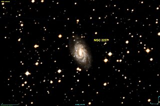 <span class="mw-page-title-main">NGC 2227</span> Barred spiral galaxy in the constellation Canis Major