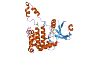 2cn5: CRYSTAL STRUCTURE OF HUMAN CHK2 IN COMPLEX WITH ADP