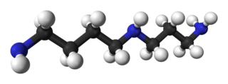 Spermidine Chemical compound