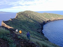 Molokini