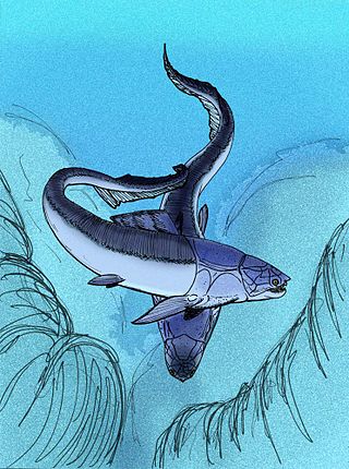 <i>Xiangshuiosteus</i> Extinct genus of fishes