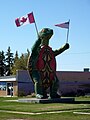 "Tommy the Turtle", Boissevain