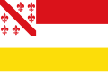 Vlag van Amerongen