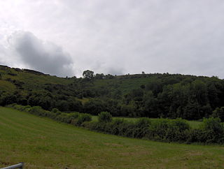 Crook Peak to Shute Shelve Hill Geological and biological Site of Special Scientific Interest in Somerset, England