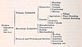 Differentiation of productive enterprises by L.C. Marshall, 1921