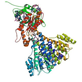 <span class="mw-page-title-main">Diguanylate cyclase</span>