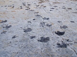 <span class="mw-page-title-main">Dinosaur Ridge</span> Natural heritage site in Colorado, United States