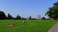 Herne Hill skyline.jpg