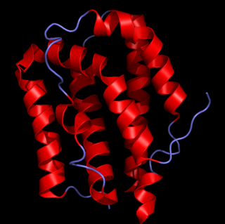 <span class="mw-page-title-main">Interleukin 19</span> Protein-coding gene in the species Homo sapiens