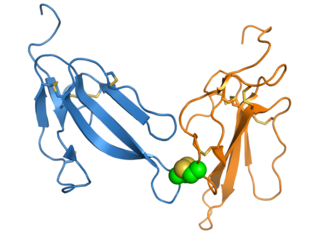 <span class="mw-page-title-main">Irditoxin</span>