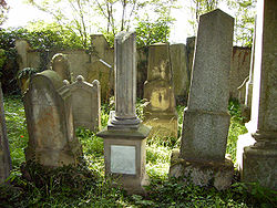 Jewish cemetery