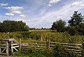 London Wetland Centre