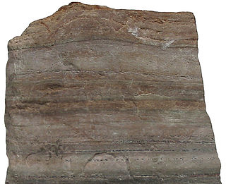 <span class="mw-page-title-main">Metamorphic rock</span> Rock that was subjected to heat and pressure