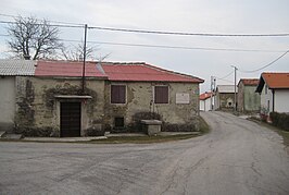 Rjavče