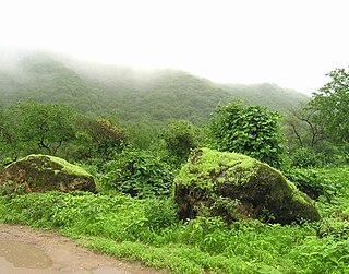 <span class="mw-page-title-main">South Arabian fog woodlands, shrublands, and dune</span>