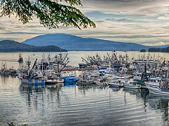 Salmon Seine Fleet HDR51.jpg