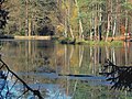 Stausee Haarweidenbach: Stausee mit Damm und Überlauf