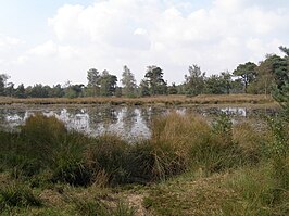 Ven bij Boxtel