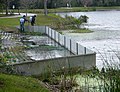 Workers in Celebration spray the city park with mosquito repellant