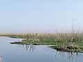 Bandar Anzali (Iran) am Kaspischen Meer: Lagune