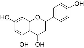 <span class="mw-page-title-main">Apiforol</span> Chemical compound