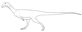 <i>Austrocheirus</i> Genus of reptiles (fossil)