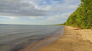 <span class="mw-page-title-main">Brimley State Park</span> Park in Michigan, USA