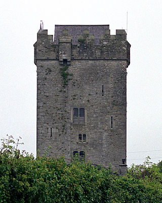 <span class="mw-page-title-main">Ballyhannon Castle</span> Historic site in County Clare, Ireland