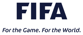 <span class="mw-page-title-main">FIFA Council</span> Decision-making institution of FIFA