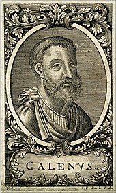 Portrait of Galen, a Roman doctor Galenus.jpg