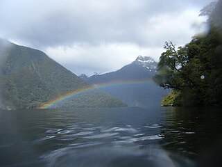 <span class="mw-page-title-main">Kutu Parera (Gaer Arm) Marine Reserve</span> Marine reserve in Fiordland, South Island, New Zealand