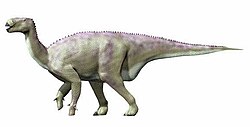 Iguanodon bernissartensis