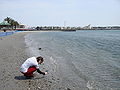 Du fait de la faible profondeur du lac, ses berges de sable sont étroites.