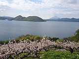 壮瞥公園の梅と洞爺湖