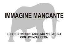 Immagine di Elephas maximus sondaicus mancante