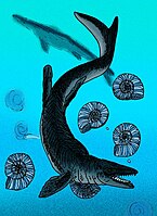 Mosasaurus hoffmannii