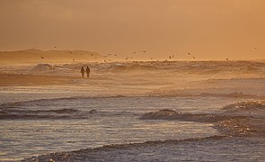 Coast of Nørre Vorupør