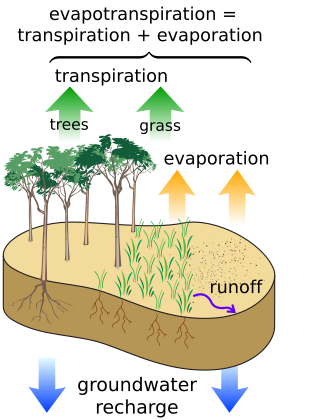 <span class="mw-page-title-main">Evapotranspiration</span> Natural processes of water movement within the water cycle