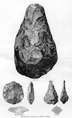 Acheulean hand axes from Kent. The types shown are (clockwise from top) cordate, ficron and ovate. It was the longest-used tool of human history. Acheuleanhandaxes.jpg