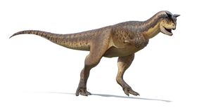 (Carnotaurus)