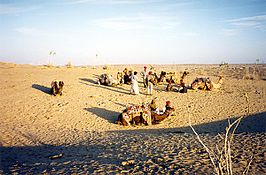 De Tharwoestijn nabij Jaisalmer in Rajasthan