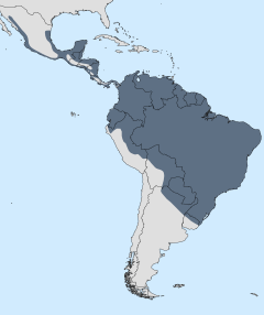 Distribuição geográfica do G. caerulescens.