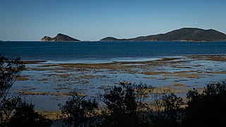 <span class="mw-page-title-main">Hideaway Bay, Queensland</span> Town in Queensland, Australia