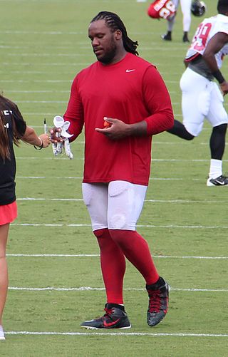 <span class="mw-page-title-main">Jonathan Babineaux</span> American football player (born 1981)