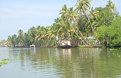 Kettuvallam line up in the Kuttanad region