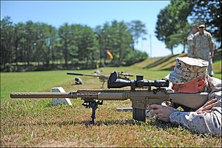 <span class="mw-page-title-main">M110 Semi-Automatic Sniper System</span> Sniper rifle