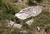 Menhir couché des Matelettes