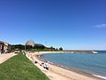 Northerly Island Beach